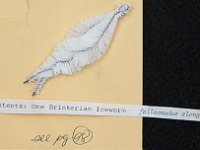 Fanzines - 3 Dimensional